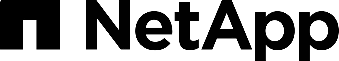 NetApp Partner